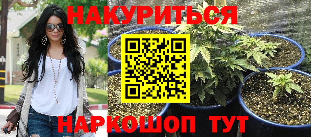 Бошки Шишки Amnesia  Вход с VPN  Шишки марихуана конопля  Ефремов  Конопля план 